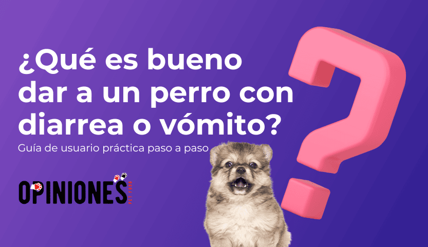 ¿Qué es bueno para los perros con diarrea y/o vómito?