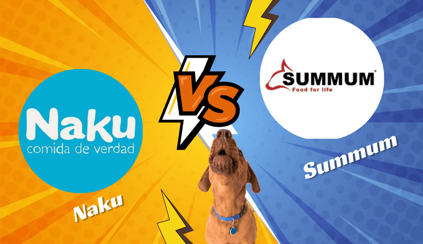 Summum vs Naku, ¿Dónde comprarías?