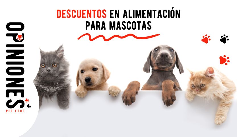 Descuentos en alimentación para mascotas