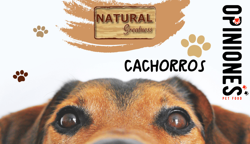 Analizamos Natural Greatness para cachorros