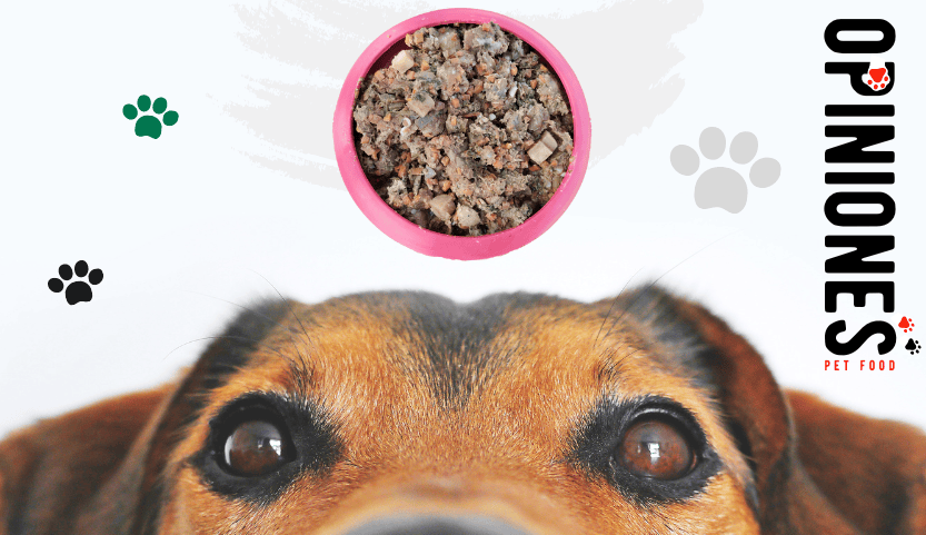 Analizando comederos antivoracidad para perros