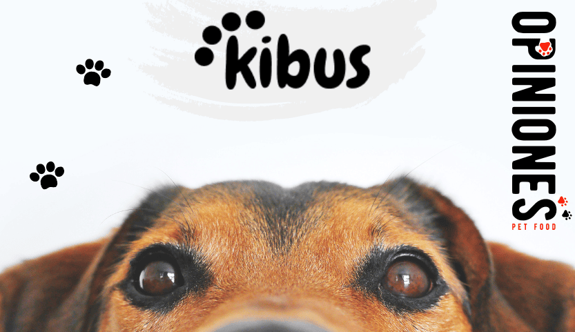 Kibus Petcare: Opiniones verificadas de www.kibuspetcare.com