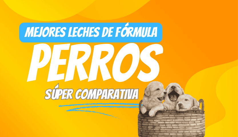 ¿Cuál es la mejor leche para cachorros maternizada?