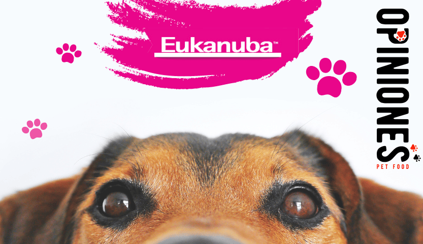 Opiniones del pienso Eukanuba para perros