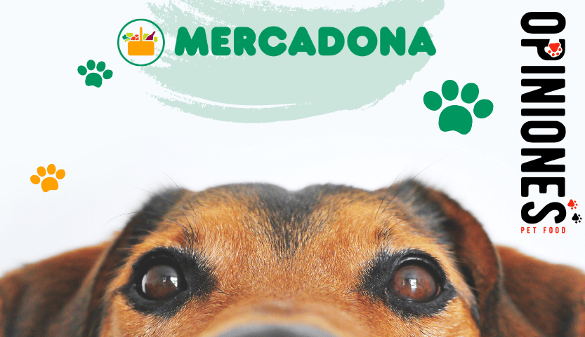 ¿Qué opinas del pienso para perros y gatos de Mercadona?