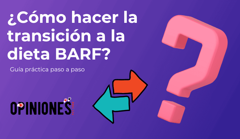 ¿Cómo hacer la transicion a BARF?
