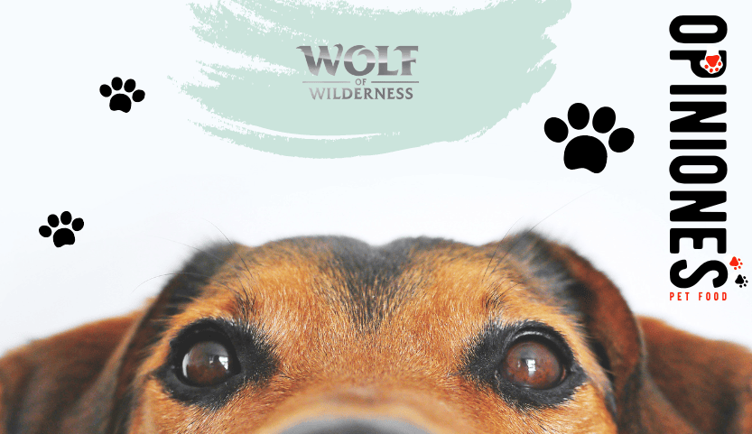 Opiniones del pienso Wolf of Wilderness