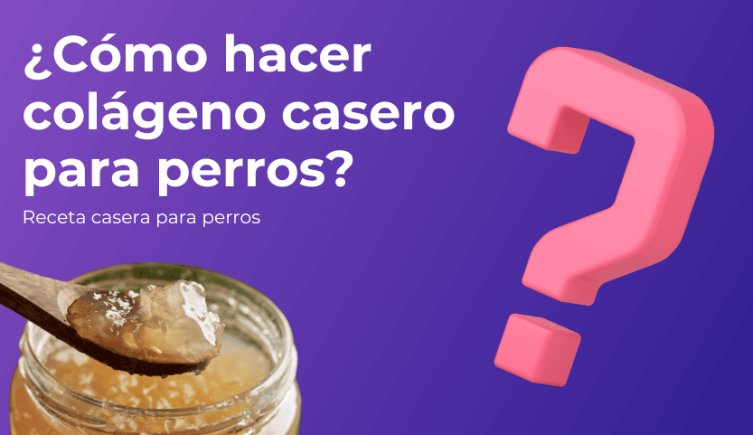¿Cómo hacer colágeno para perros casero?