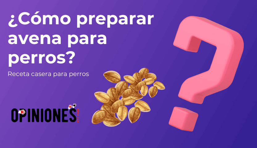 ¿Cómo preparar avena para perros?