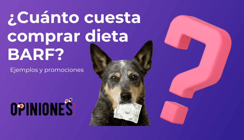 ¿Qué precio tiene la dieta BARF y cuánto cuesta al mes?