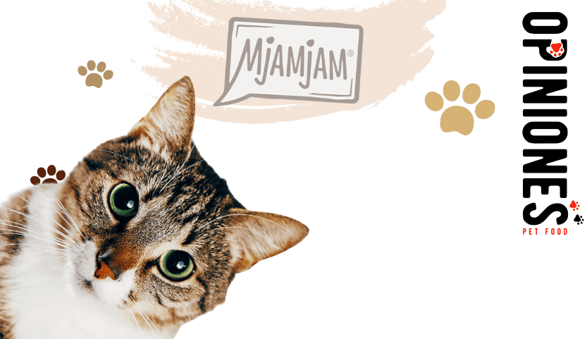 MjAMjAM Gatos: Review y opiniones verificadas