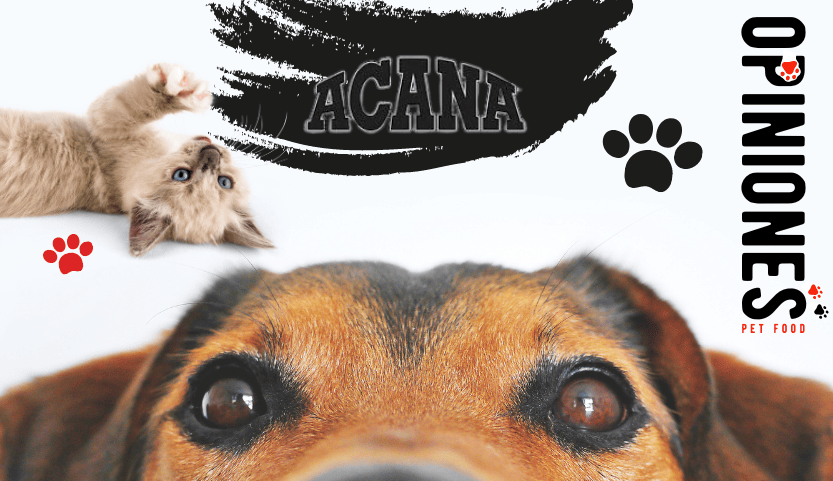 Opiniones verificadas del pienso Acana para perros y gatos