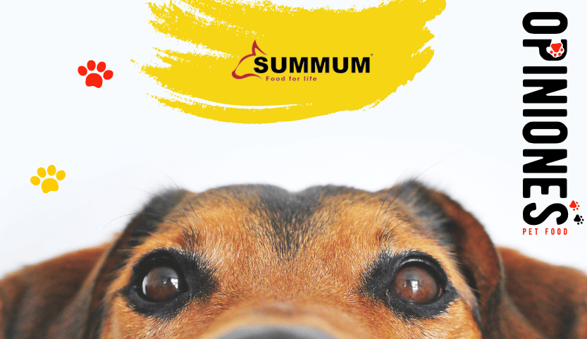 Summum Petfood: Opiniones verificadas de Summum