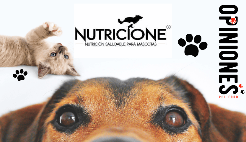 Nutricione BARF: Opiniones verificadas de www.nutricione.es