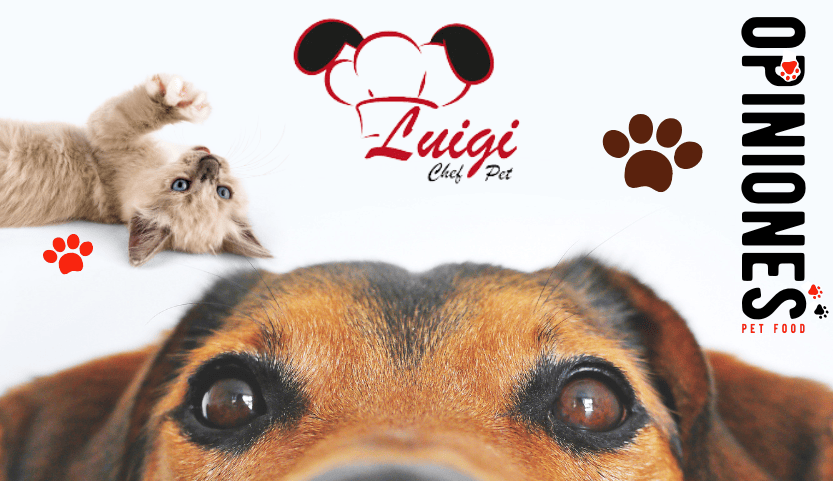 Luigi Chef Pet: Opiniones verificadas de luigichefpet.com