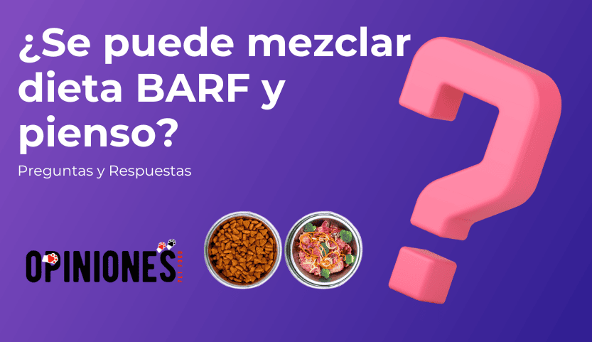 ¿Puede combinarse el pienso con la dieta BARF?