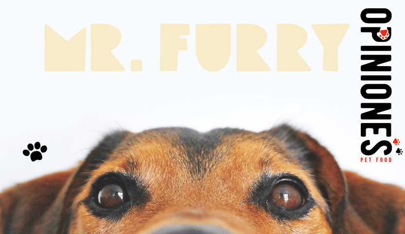 Mister Furry: Opiniones verificadas de www.misterfurry.es