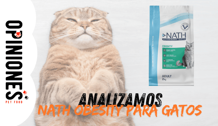 ¿Qué opinamos del pienso Nath Obesity para gatos?