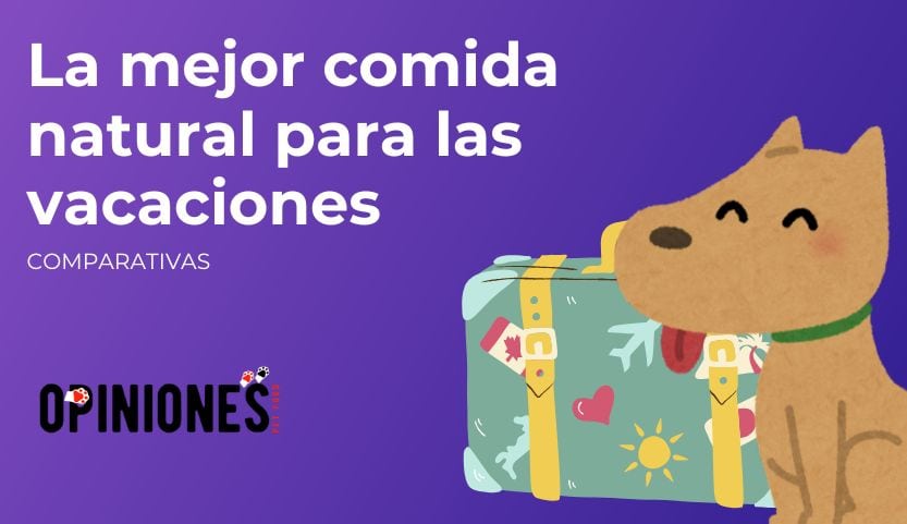 La mejor comida natural canina para llevarte a las vacaciones