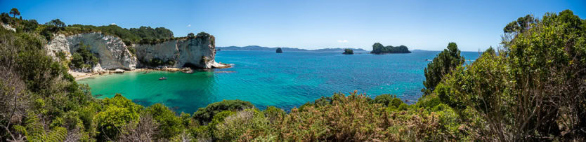 cathedral cove walk in the coromandel nz