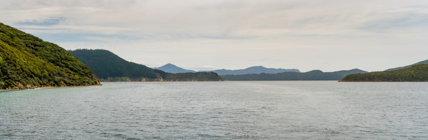 queen charlotte sound mail boat cruise top thing to do in picton new zealand