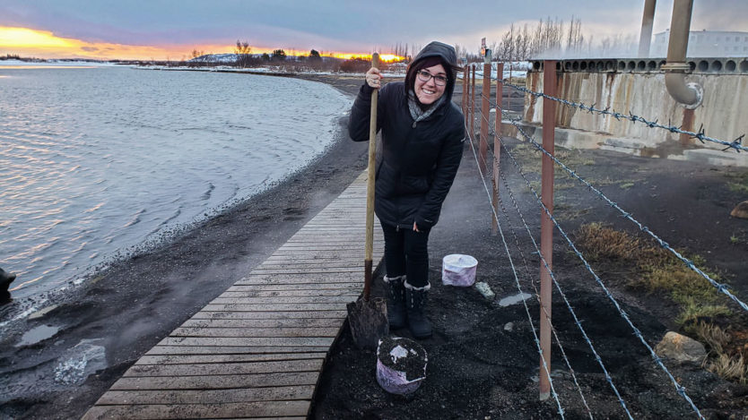 laugarvatn fontana geothermal bakery experience - digging out the rye bread