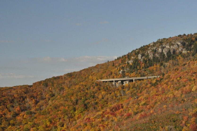 blue ridge parkway autumn colors