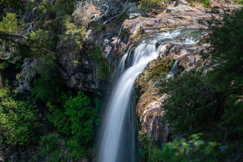 rainbow falls in kerikeri