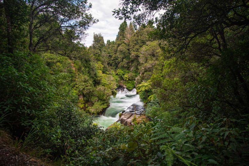 okere falls near rotorua