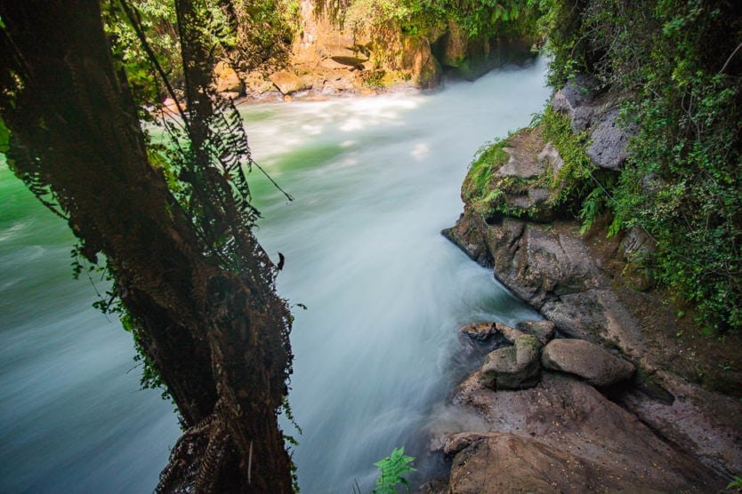 tutea falls in rotorua