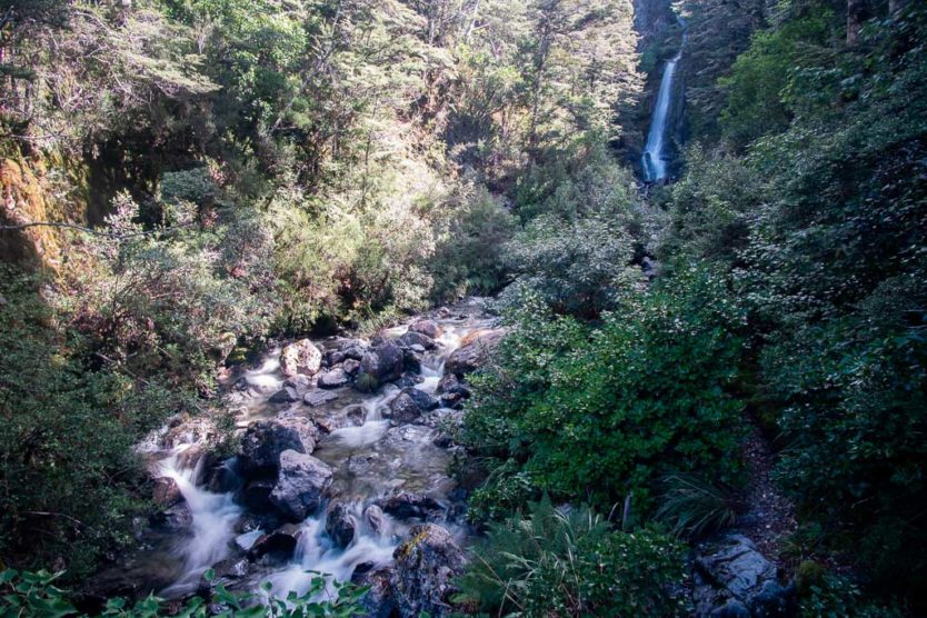 Avalanche Creek Falls in arthur's pass