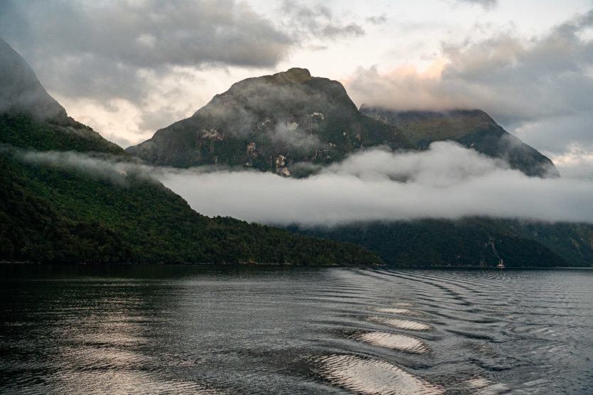 real journeys doubtful sound overnight cruise