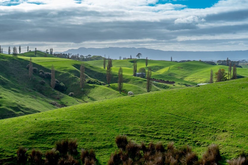 visiting hobbiton in new zealand - countryside drive