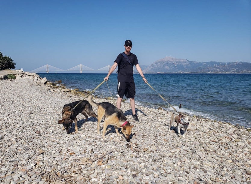 walking three dogs in greece by the water while pet sitting