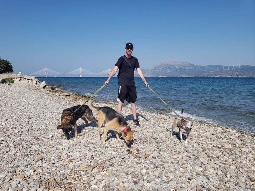 walking three dogs along beach in greece while international house sitting