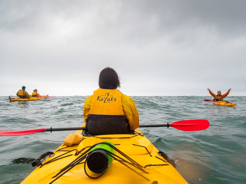 kayaking in tonga island marine reserve in able tasman national park