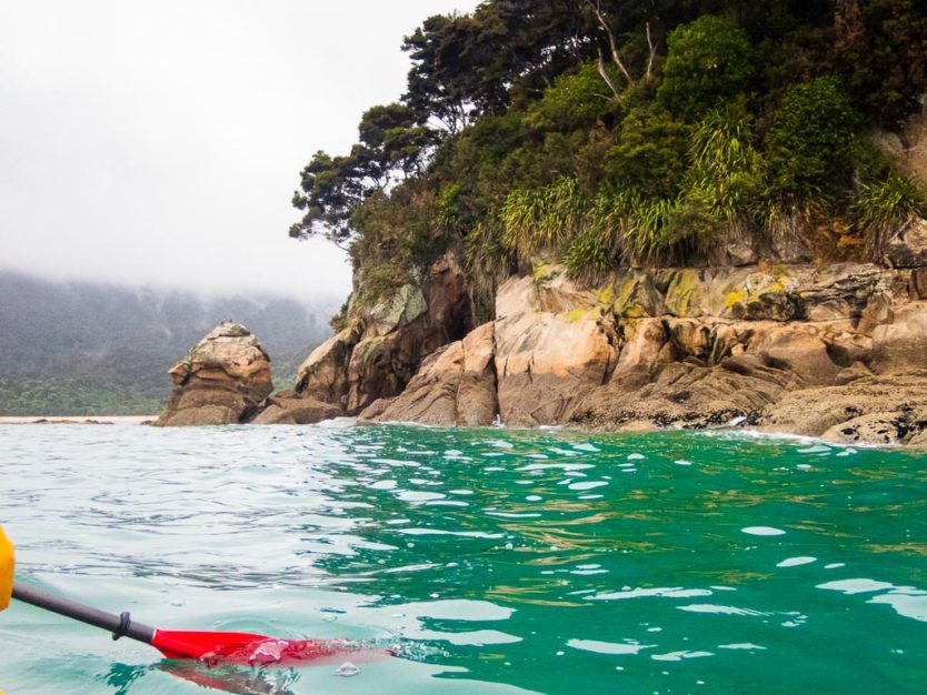 abel tasman day trip kayaking tour