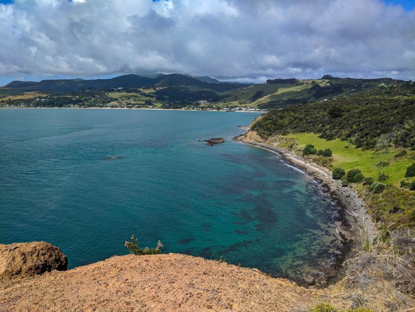 ari te uru nature reserve in northland new zealand