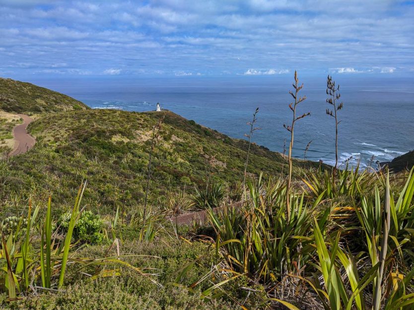 northland cape reinga lighthouse trail