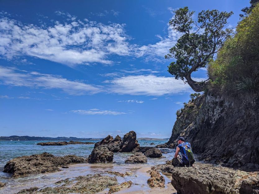 tepaka point beach near russell bay of islands new zealand