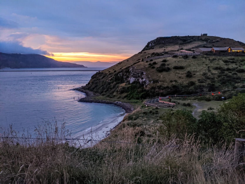 royal albatross center near dunedin