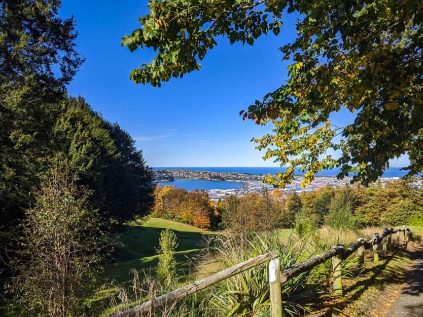 dunedin walking trails on a sunny day