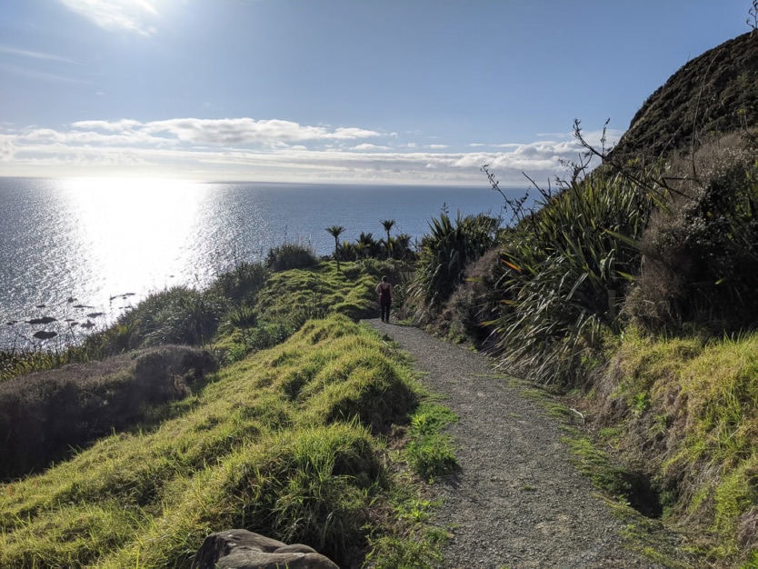 mangawhai heads cliff walk new zealand