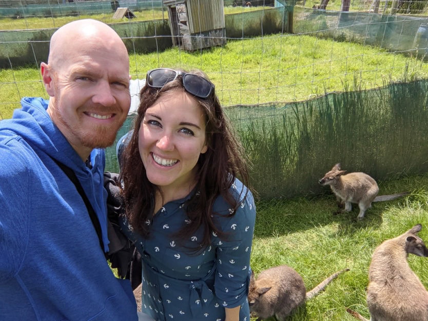 waimate wallaby park new zealand