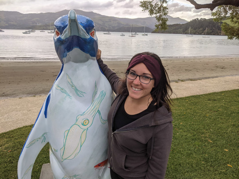 akaroa in new zealand for penguin tour