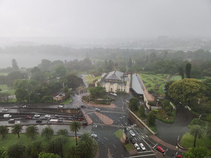 rainy view of sydney botanic gardens