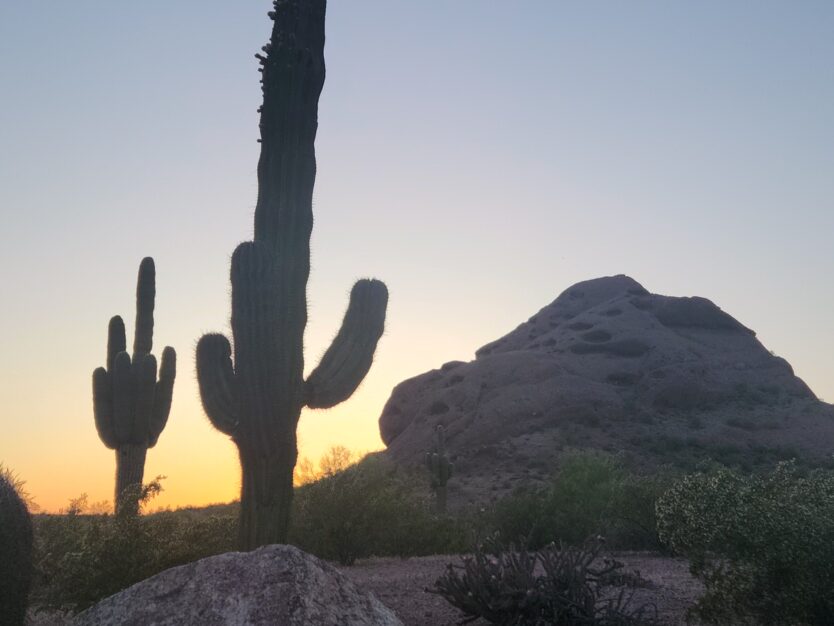 sunset at pago park near desert botanical garden in phoenix