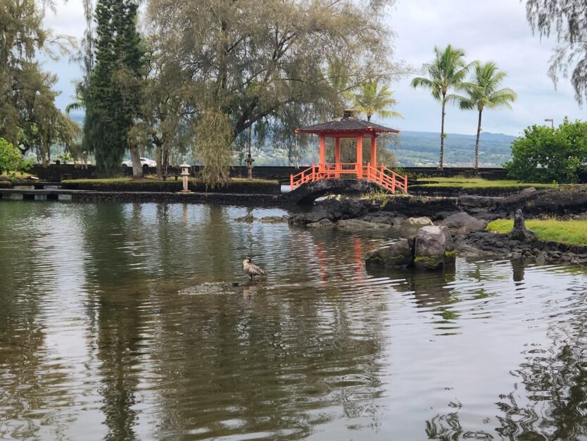 Liliuokalani gardens and japanese garden