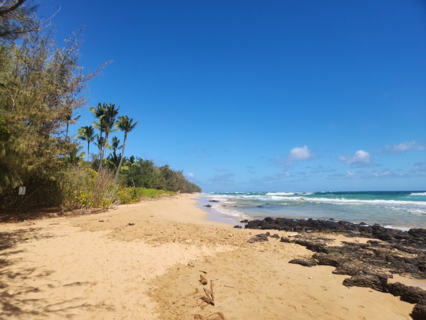 beach near makauwahi cave on kauai