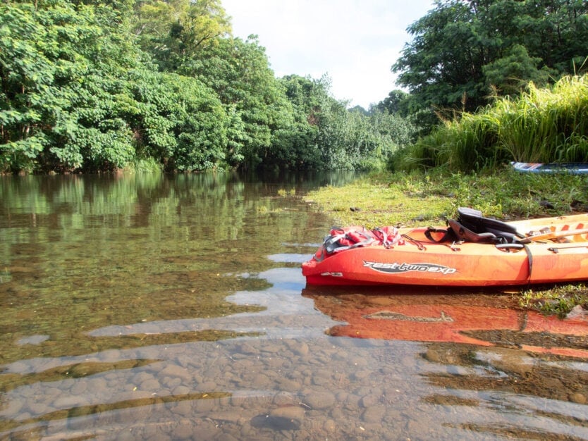 kayak landing on wailua river for secret falls hike in kauai hawaii